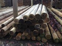 Treated Machined Pole
