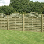 Omega Lattice Top Treated