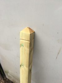 Patrice Newel Post