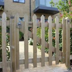 Treated Pointed Top Palings