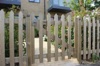 Treated Pointed Top Palings
