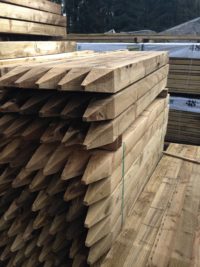 Treated Square Pointed Posts