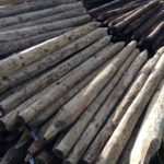 Treated Round Pointed Post