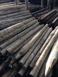 UC4 Treated Round Pointed Posts